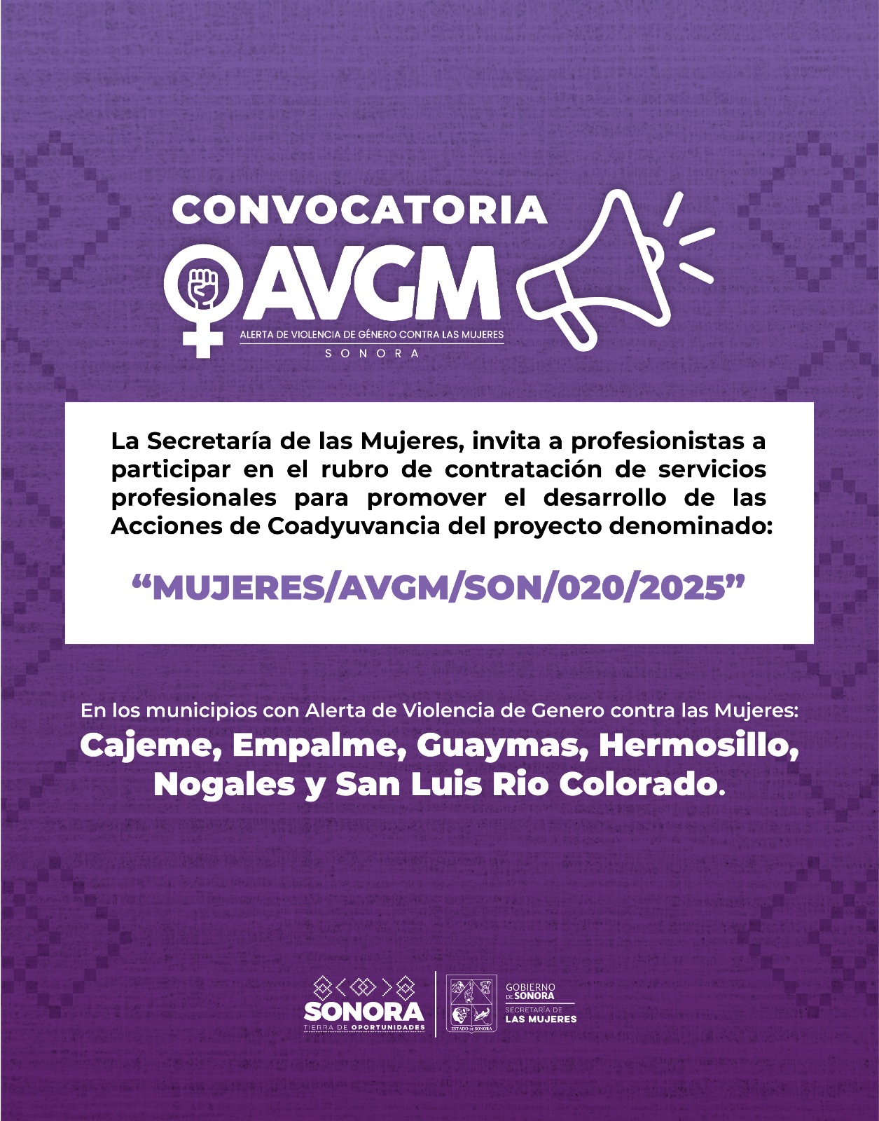 Convocatoria Gobierno del Estado - Secretaria de las Mujeres - AVGM